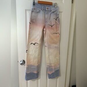 BDG Urban Outfitters cowboy sunset jeans size 25 birds ombré